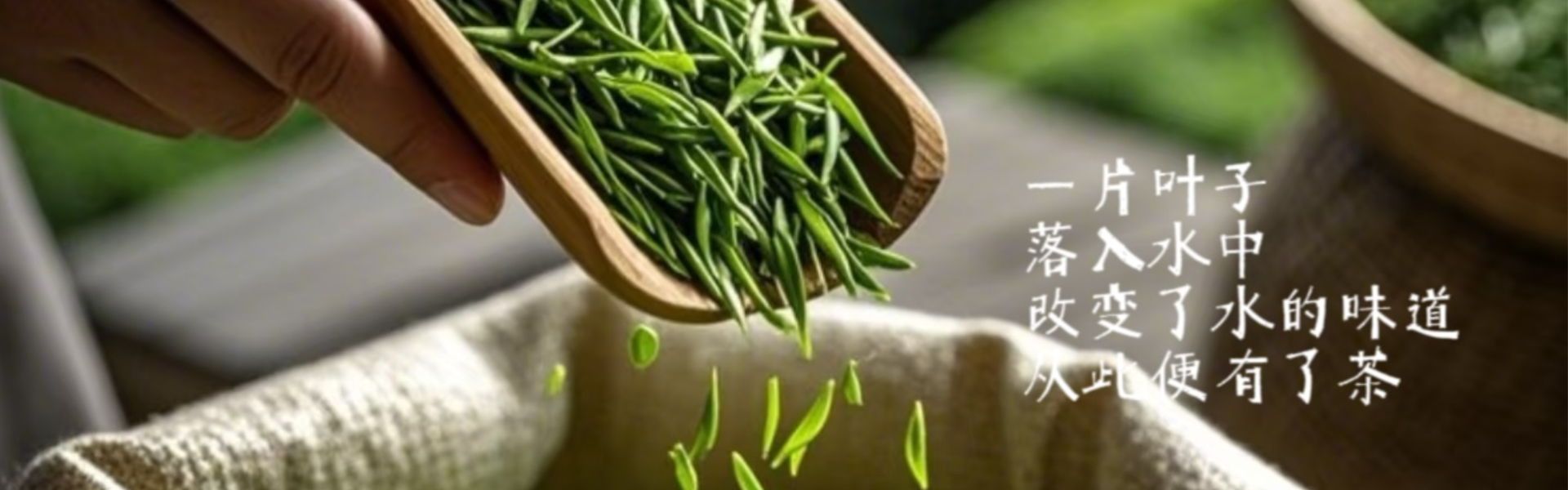 贵州省茶叶学会【官网】